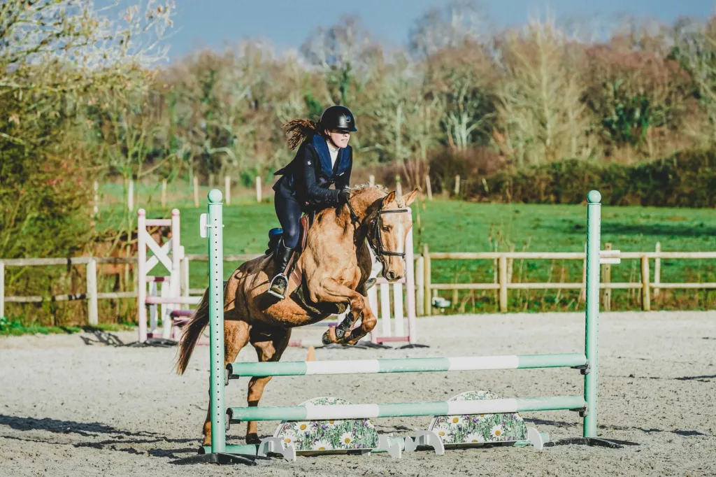 photographe chevaux bordeaux