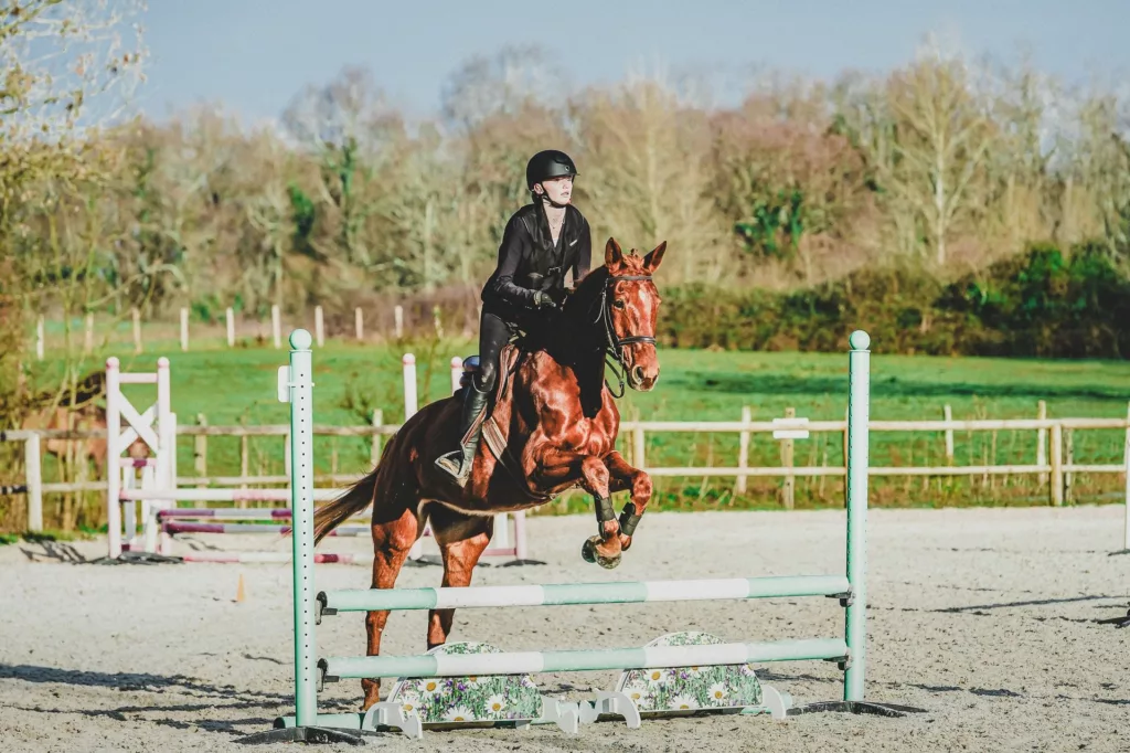 photographe chevaux bordeaux