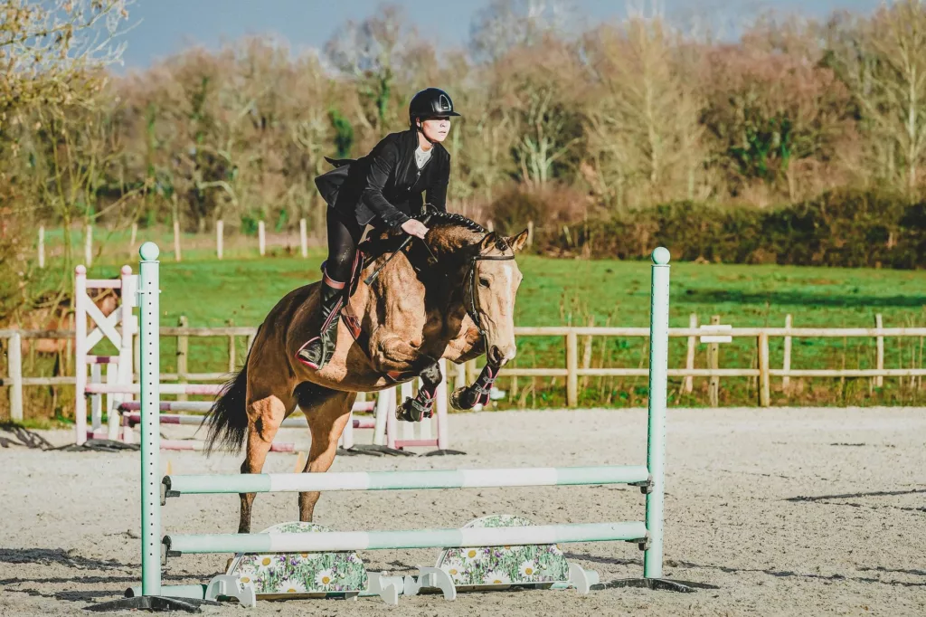 photographe chevaux bordeaux