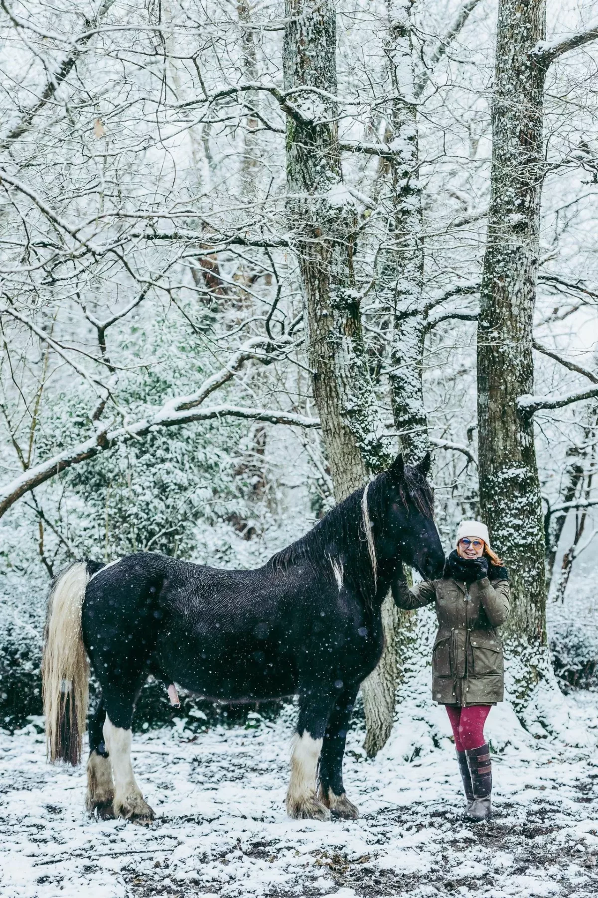 photographe séance cheval bordeaux