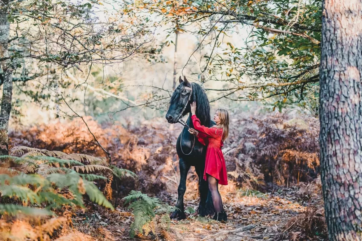photographe séance cheval bordeaux