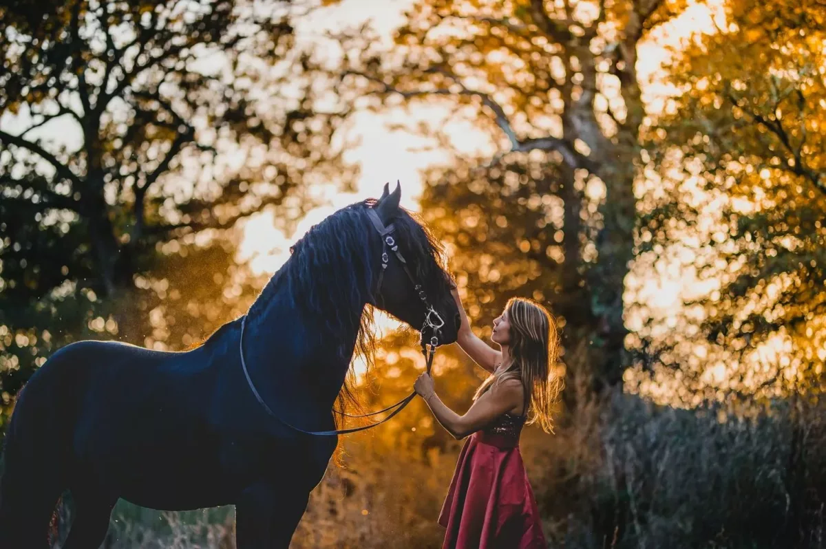 photographe séance cheval bordeaux