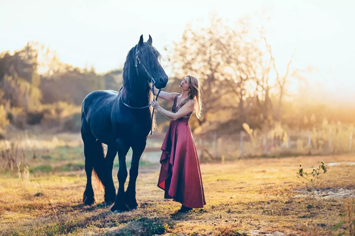 photographe séance cheval bordeaux