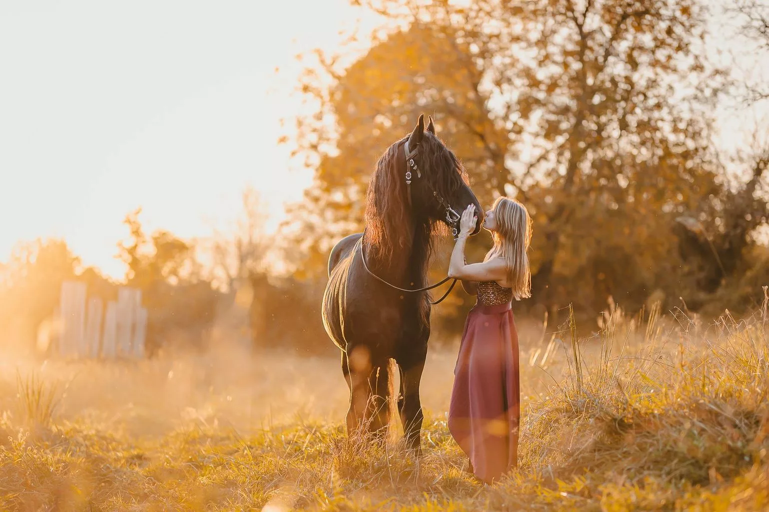 photographe séance cheval bordeaux