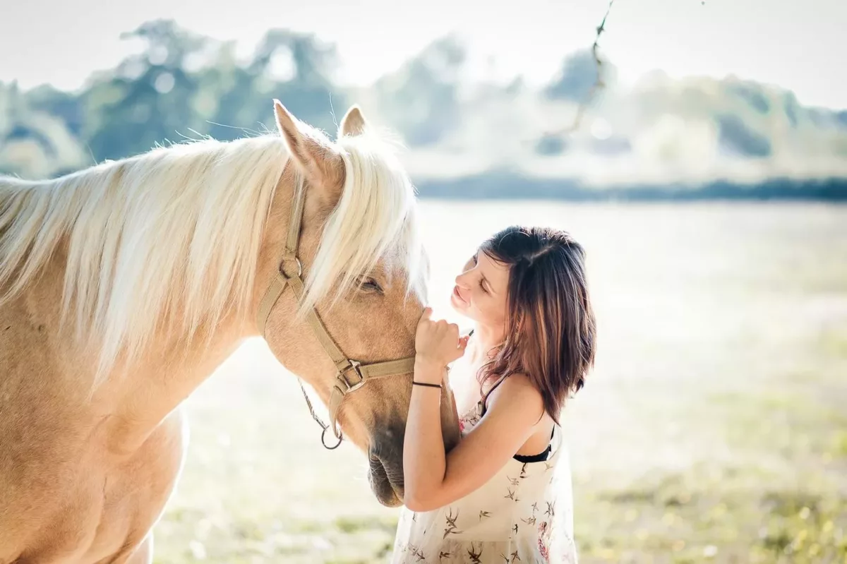 photographe séance cheval bordeaux